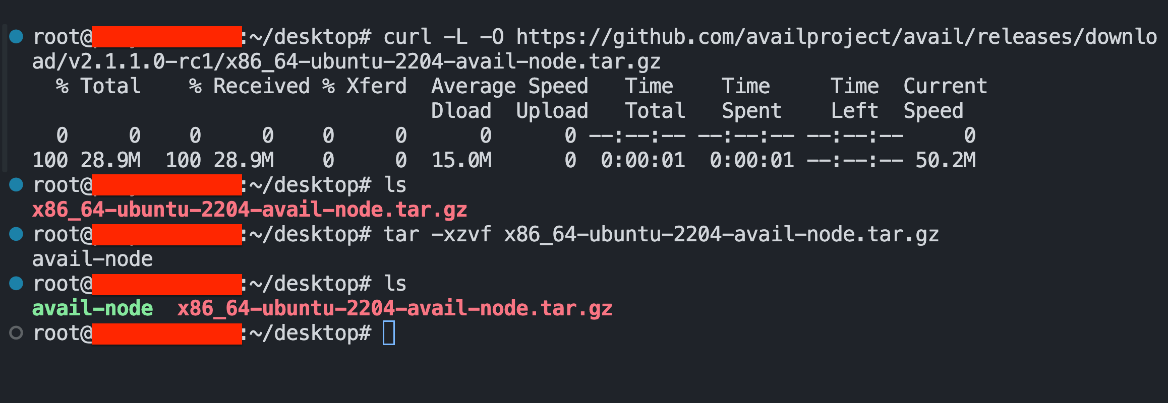 Extracted Avail node binary